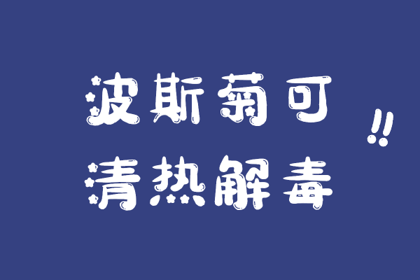  关于波斯菊的功效与作用及禁忌你了解多少？
