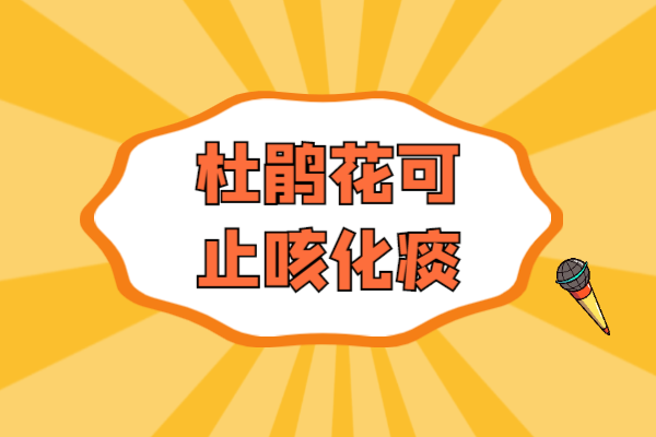  杜鹃花的功效与作用及禁忌有哪些？