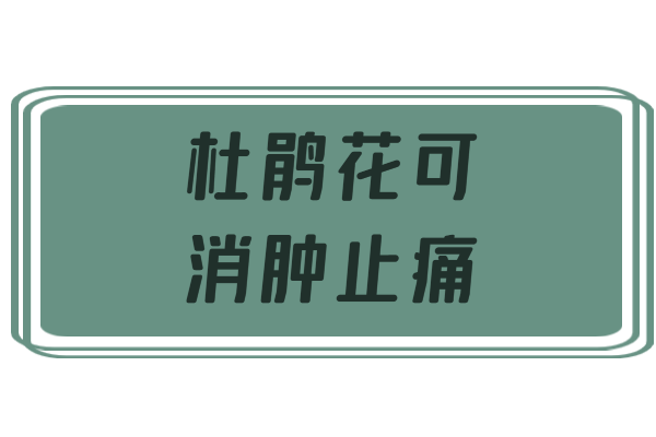消肿止痛 消肿止痛