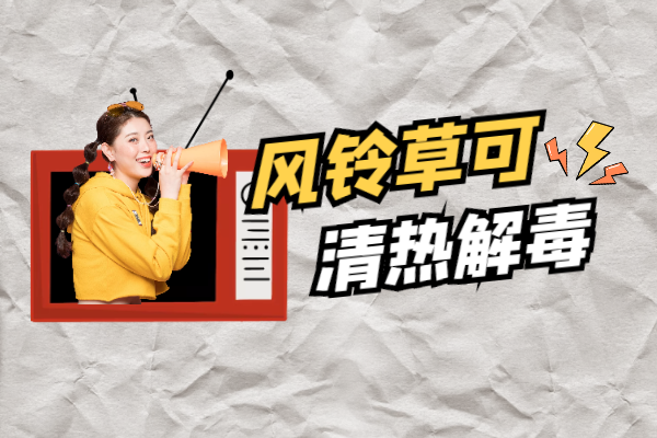  关于风铃草的功效与作用及禁忌你了解多少？