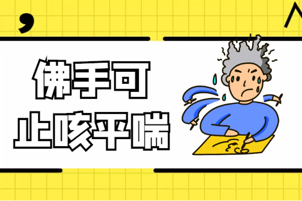  惊！佛手居然能带来这些好处|佛手的功效与作用及禁忌