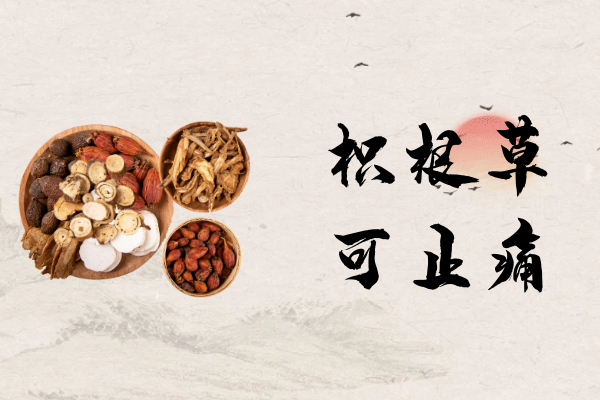  枳根皮的功效与作用及禁忌有哪些？