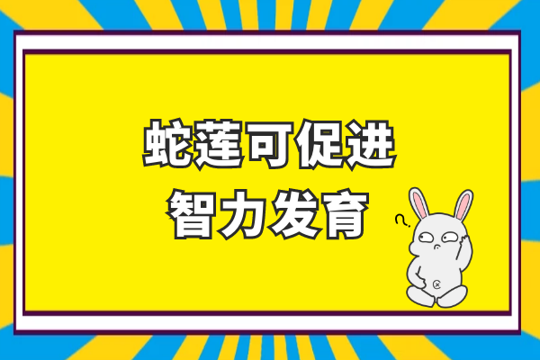 促进智力发育 促进智力发育