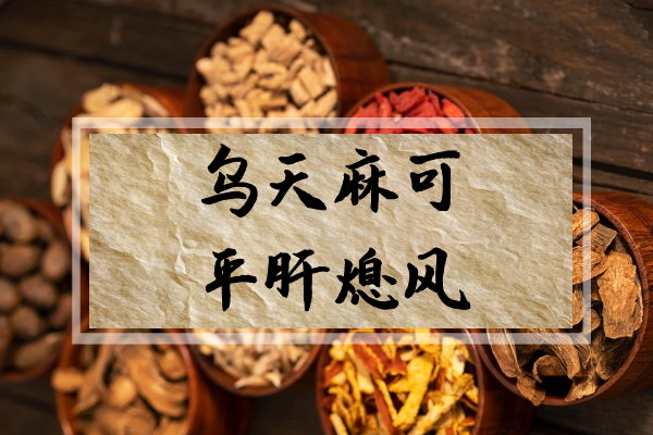  关于乌天麻的功效与作用及禁忌你了解多少？