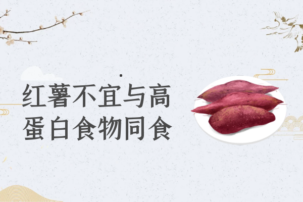 高蛋白食物 高蛋白食物