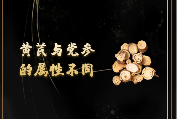  党参与黄芪的区别有哪些？两者有这些不同之处