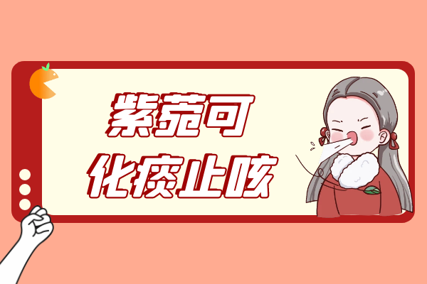  关于紫菀的功效与作用及禁忌你了解多少？