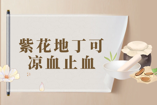 凉血止血 凉血止血