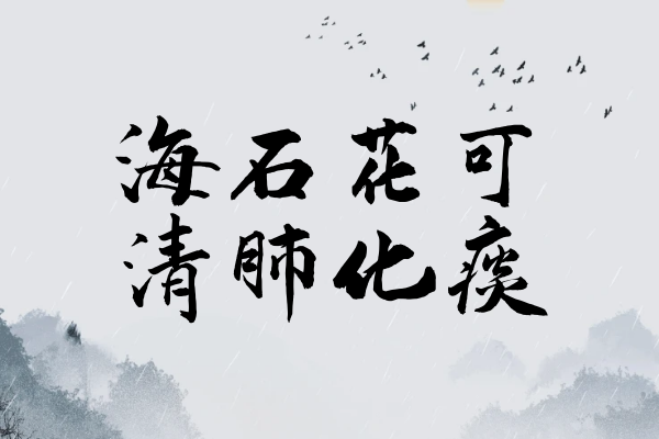  海石花的功效与作用及禁忌有哪些？