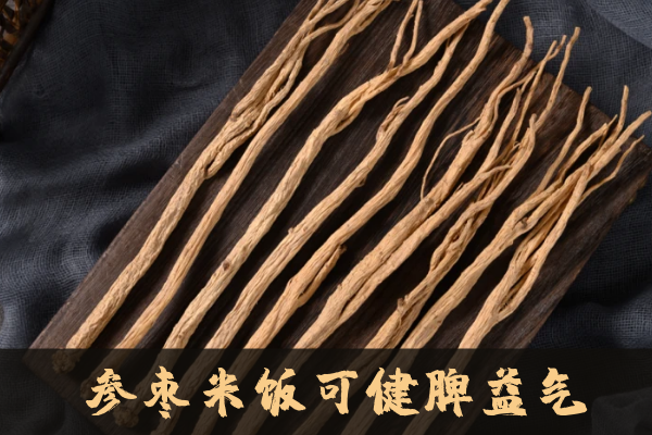  参枣米饭的功效与作用及禁忌