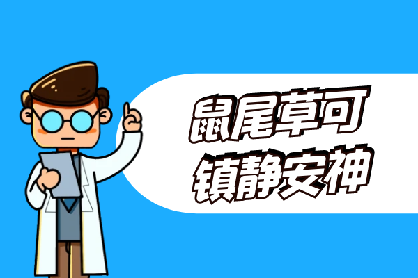  鼠尾草的功效与作用及禁忌有哪些？