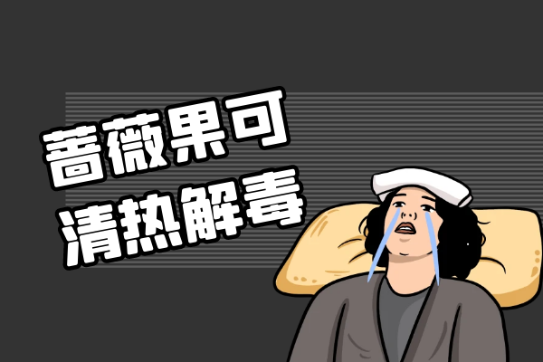  蔷薇果的功效与作用及禁忌有哪些？