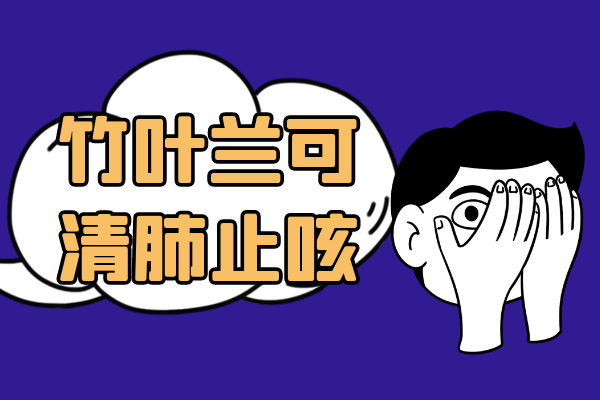  竹叶兰的功效与作用及禁忌有哪些？
