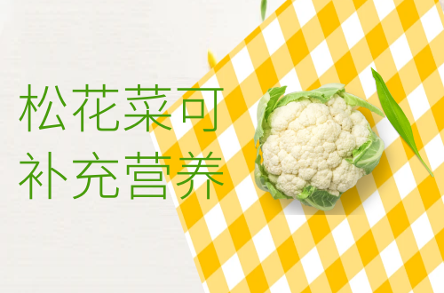  松花菜的功效与作用及禁忌有哪些？