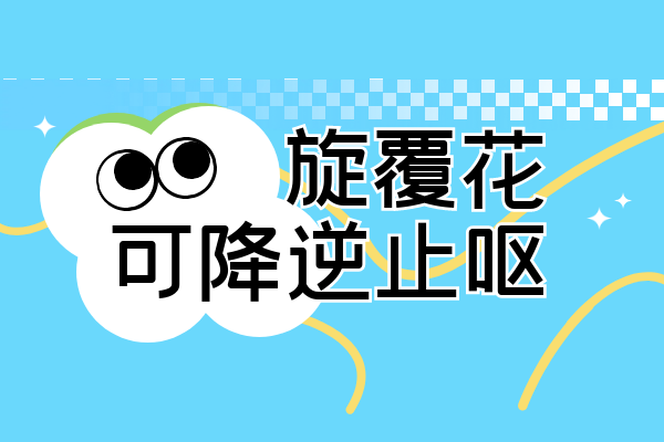 降气止呕 降气止呕