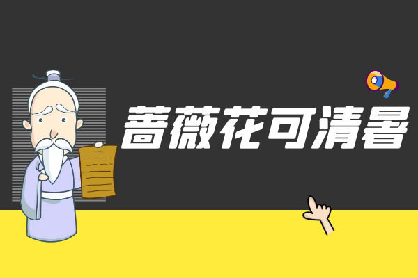  蔷薇花的功效与作用及禁忌有哪些？