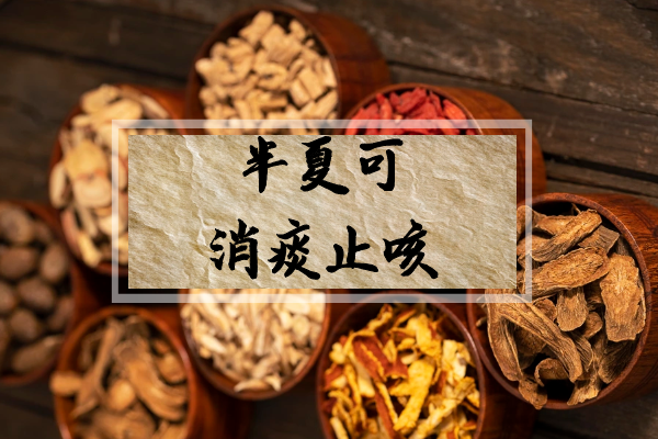  半夏的功效与作用及禁忌有哪些？