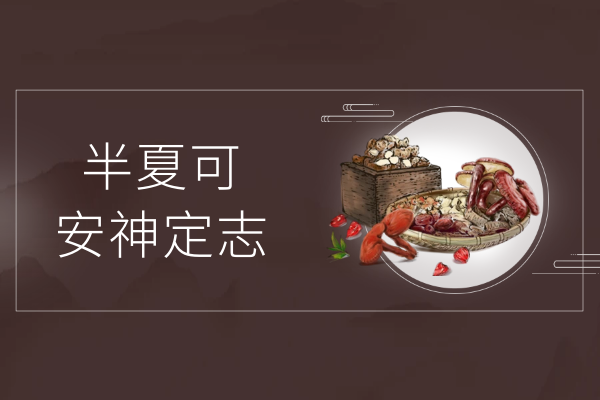 安神定志 安神定志