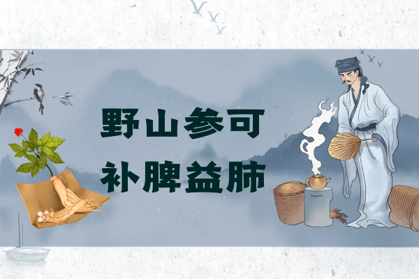 补脾益肺 补脾益肺