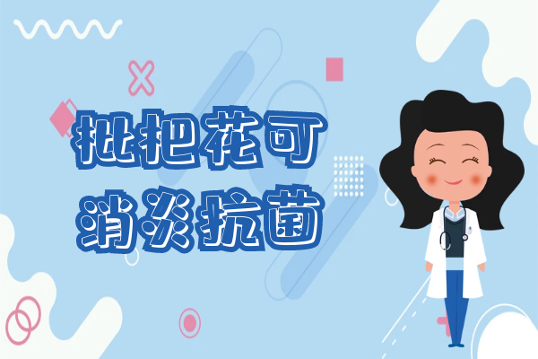 消炎抗菌 消炎抗菌