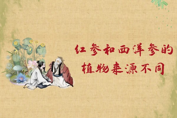  红参和西洋参的区别有哪些？两者有这些不同之处