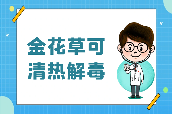  金花草的功效与作用及禁忌有哪些？