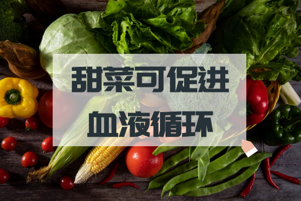  甜菜的功效与作用及禁忌