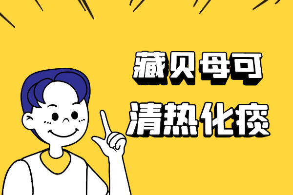  藏贝母的功效与作用及禁忌有哪些？