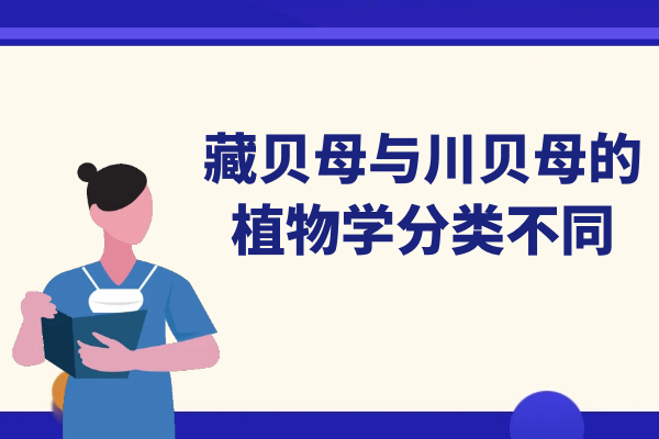  藏贝母与川贝母的区别有哪些？两者有这些不同之处