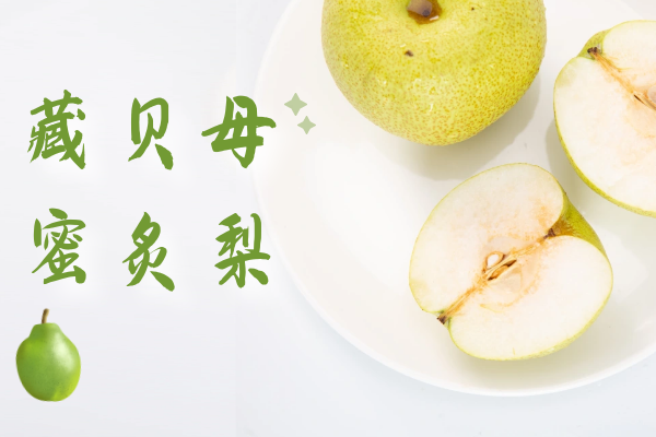  藏贝母的食用方法   藏贝母食疗方