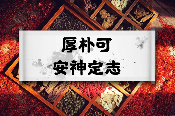 安神定志 安神定志