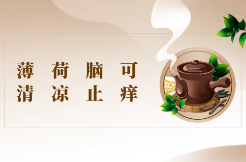  薄荷脑的功效与作用及禁忌