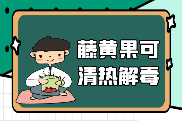  藤黄果的功效与作用及禁忌有哪些？