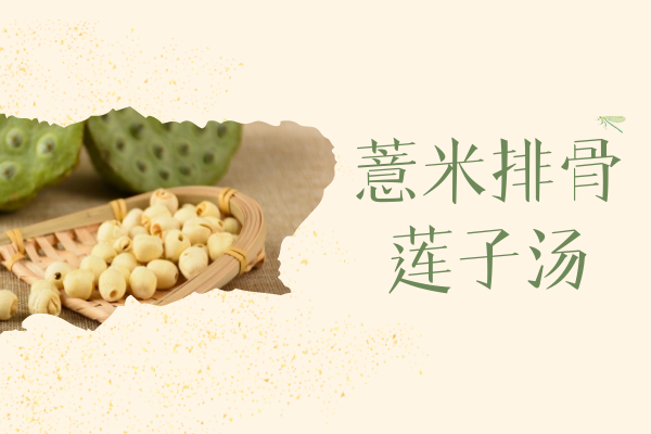 薏米排骨莲子汤 薏米排骨莲子汤