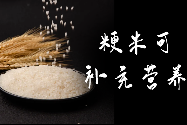 补充营养 补充营养