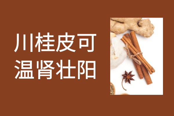 温肾壮阳 温肾壮阳