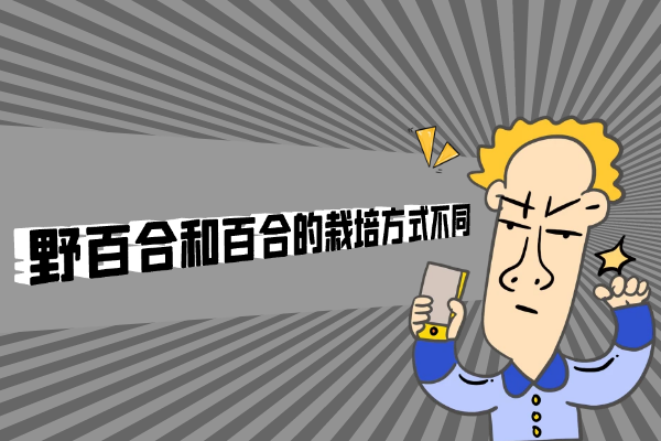 栽培方式 栽培方式