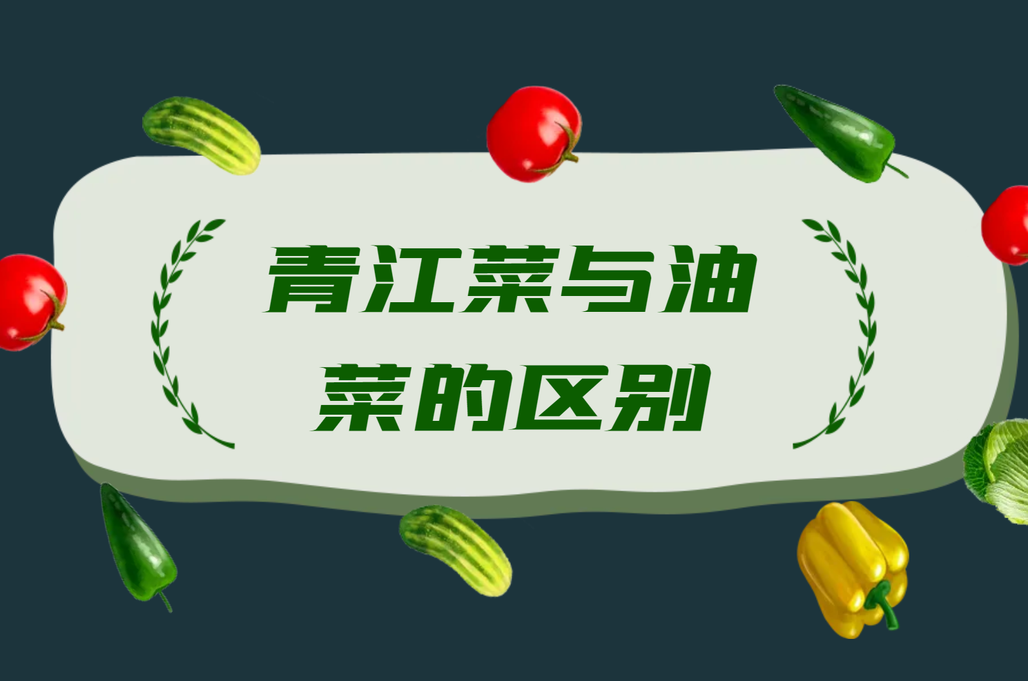 青江菜与油菜的区别 青江菜与油菜的区别