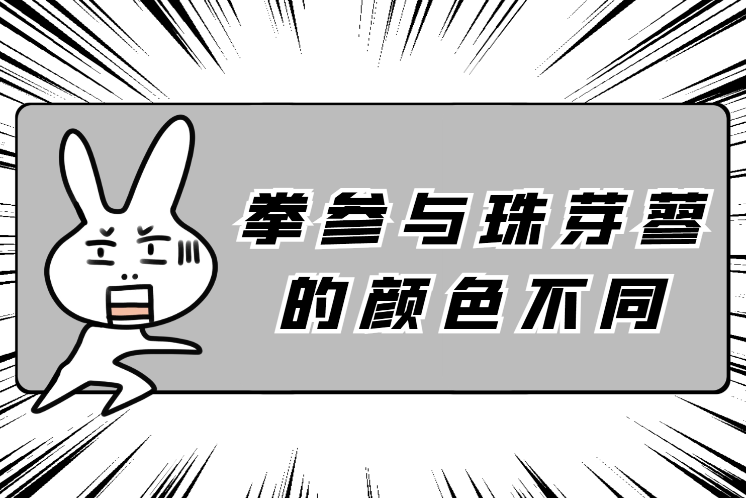 颜色不同 颜色不同