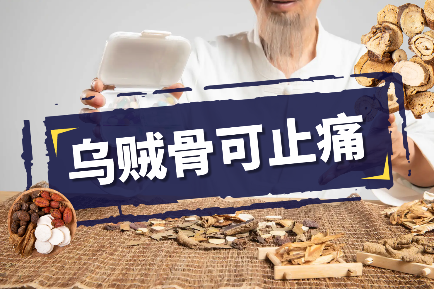  乌贼骨的功效与作用及禁忌