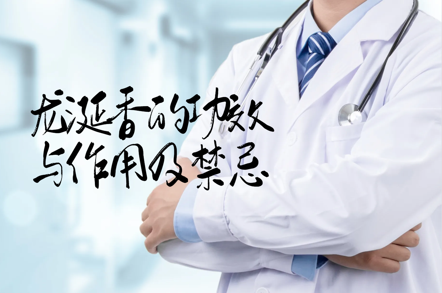  龙涎香的功效与作用及禁忌