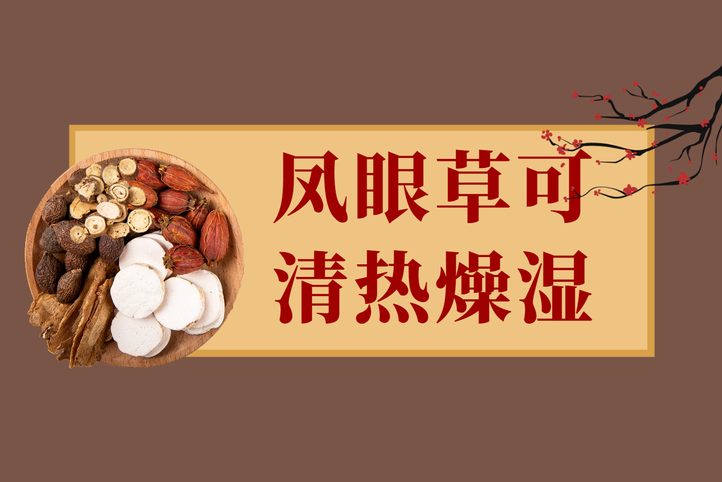  凤眼草的功效与作用及禁忌