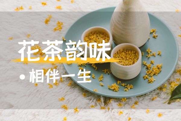  绿萝花茶的功效和作用，绿萝花茶的禁忌