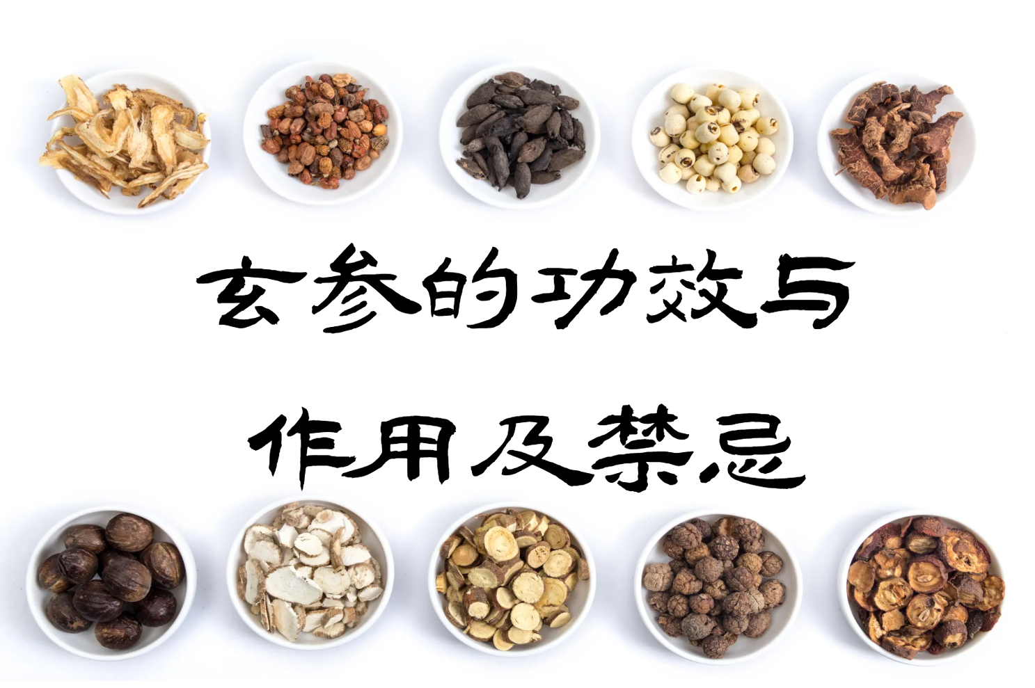  玄参的功效与作用及禁忌