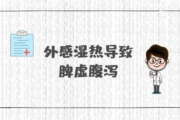 外感湿热导致的脾虚腹泻