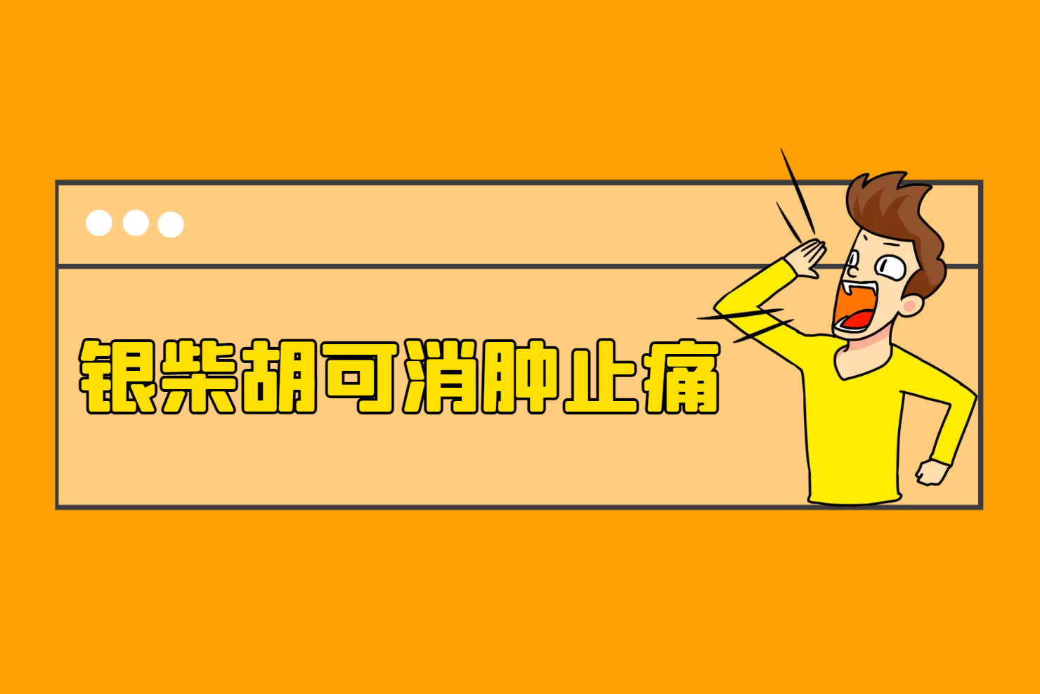  银柴胡的功效与作用及禁忌