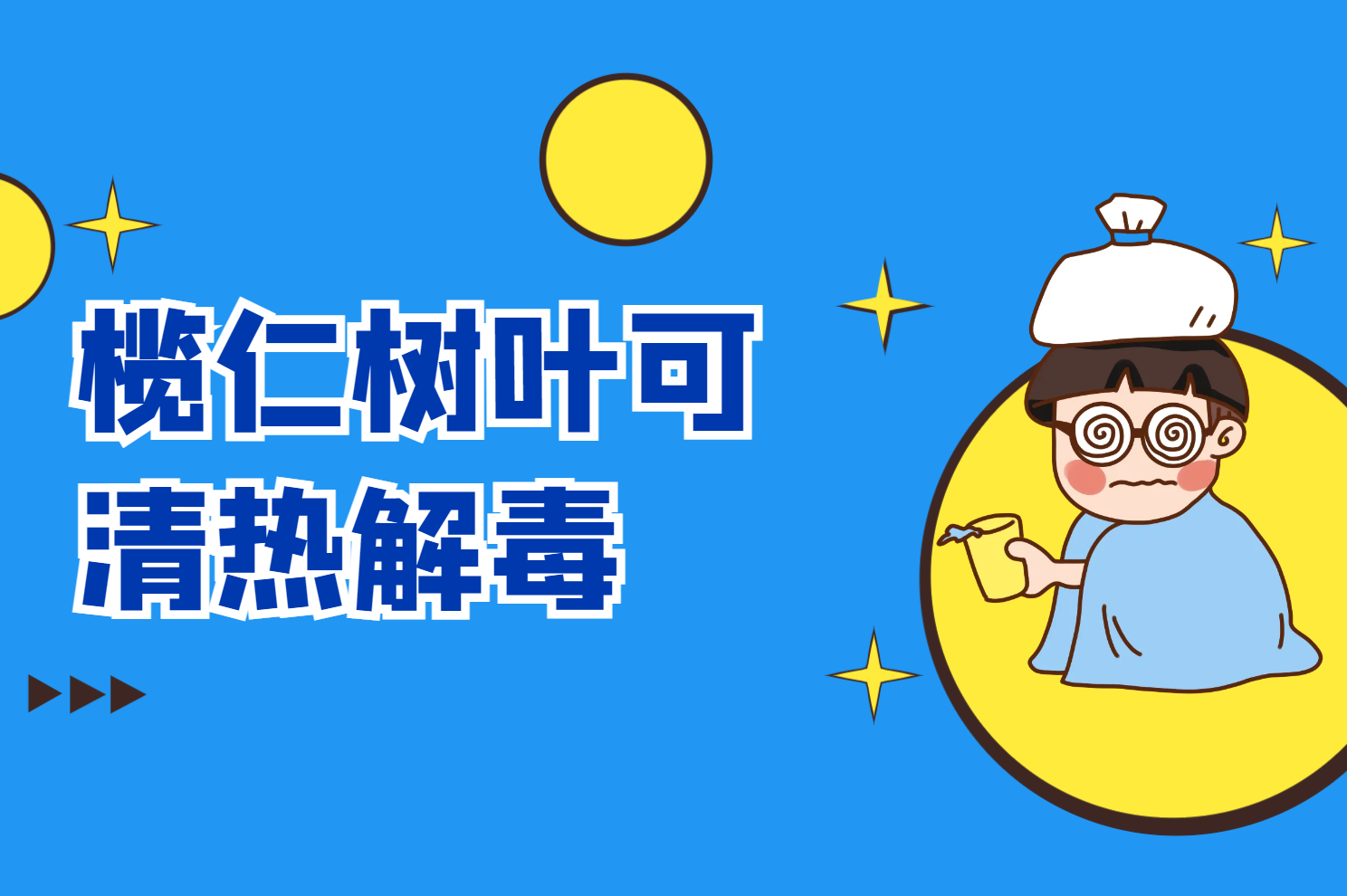  榄仁树叶的功效与作用及禁忌