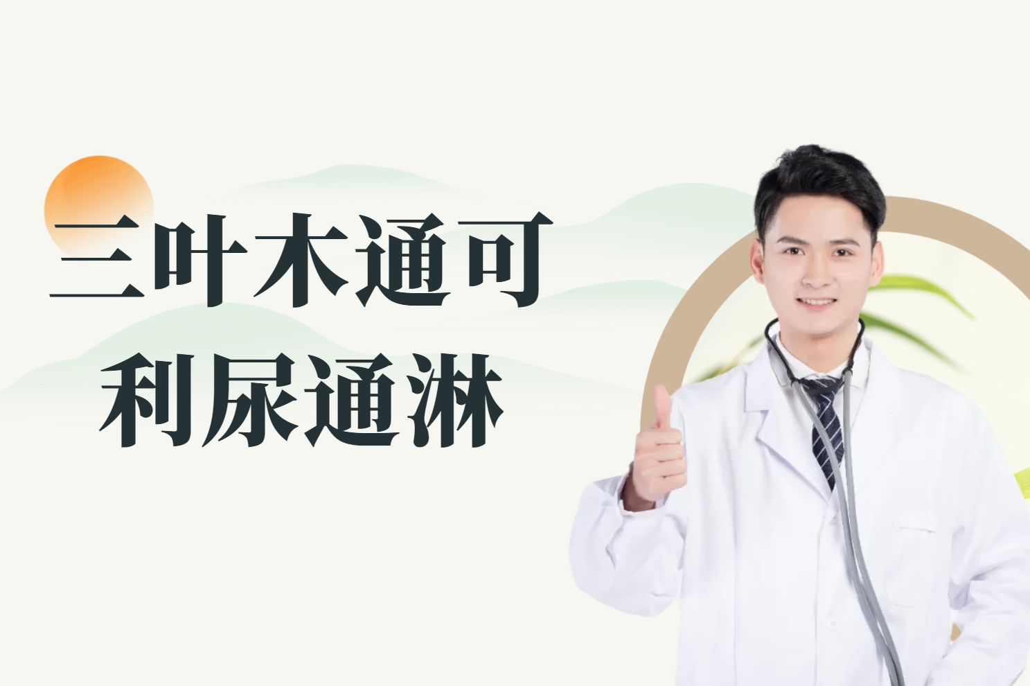  三叶木通的功效与作用及禁忌