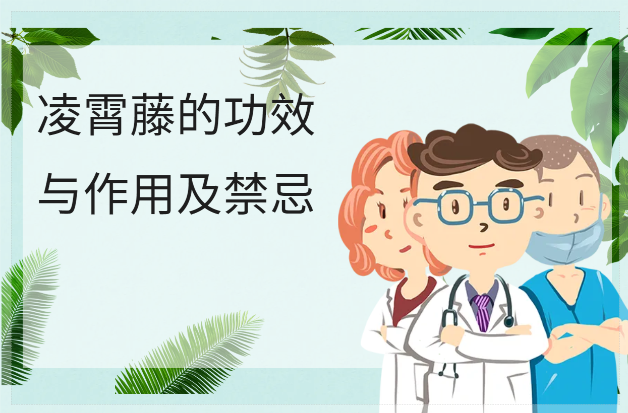 凌霄藤的功效与作用及禁忌
