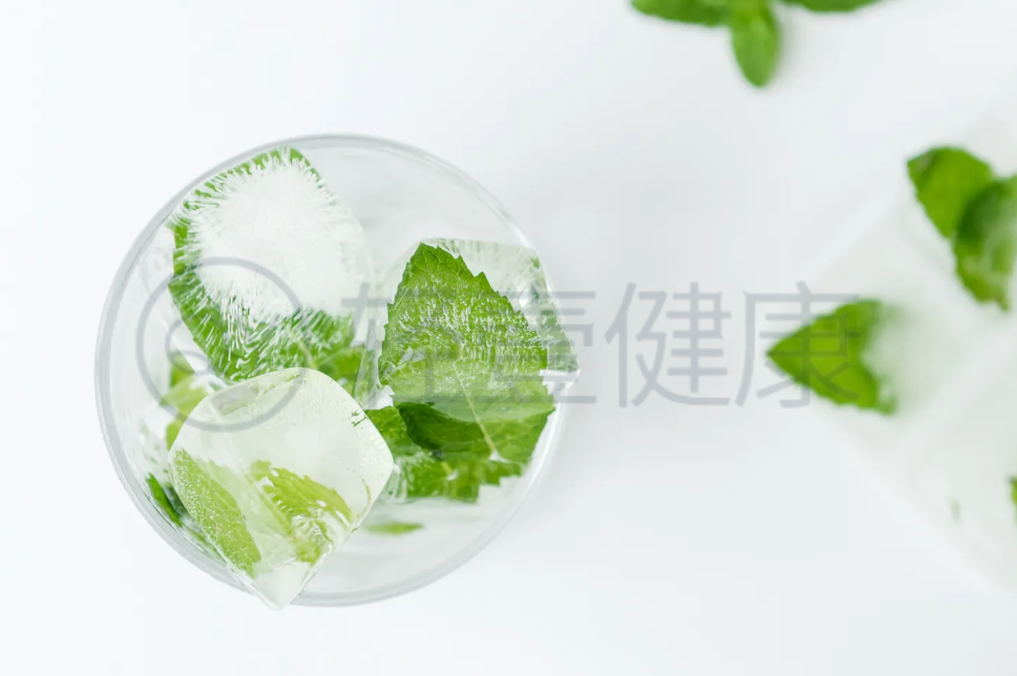 藿香与薄荷的区别 藿香与薄荷的区别